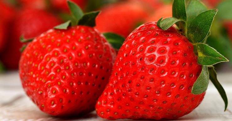 딸기(Strawberry)의 놀라운 건강 비밀: 항산화 효과부터 치매 예방까지!