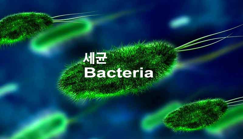 기침이 멈추지 않는다면? 백일해 감염 초기 증상과 예방법